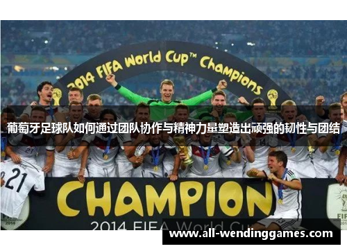 葡萄牙足球队如何通过团队协作与精神力量塑造出顽强的韧性与团结